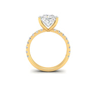 3Ct Princess Cut Moissanite Women Engagement Ring 14K White Gold Plated