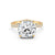 3.53Ct Cushion Cut Moissanite Hidden Halo Engagement Ring 14K Gold Plated